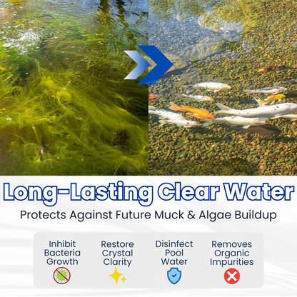 ✨ From Green to Clean Overnight! |⏱️ Crystal Clear in 24 Hours! | Aqua-Guardian Pro Formula